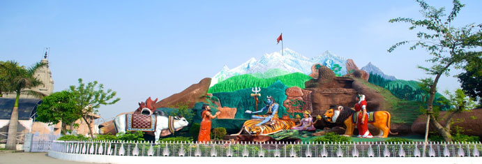 Amritsar to Jalandhar Tempo Traveller On Rent