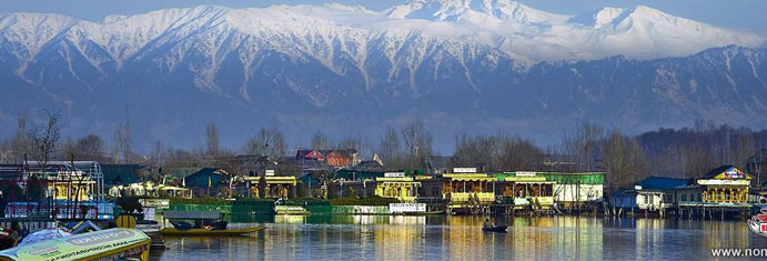 Amritsar to Srinagar Tempo Traveller
